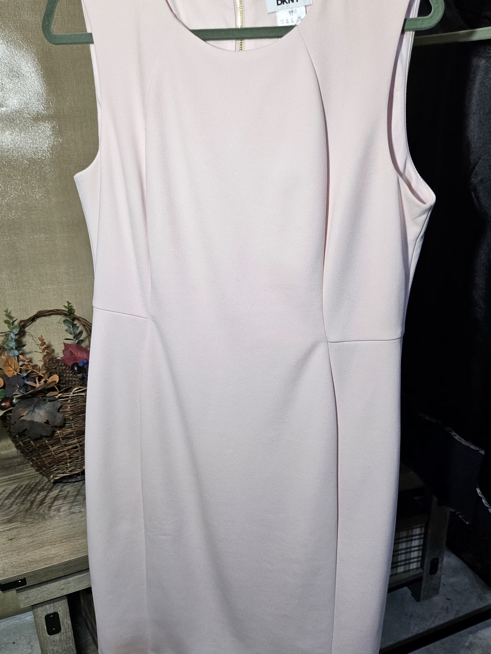 DKNY Sleeveless Sheath Dress in Light Blush/Pink